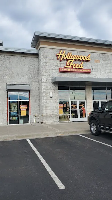 Hollywood Feed Picture 7
