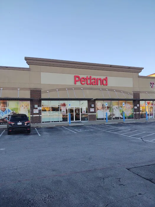 Petland Tulsa Picture 2