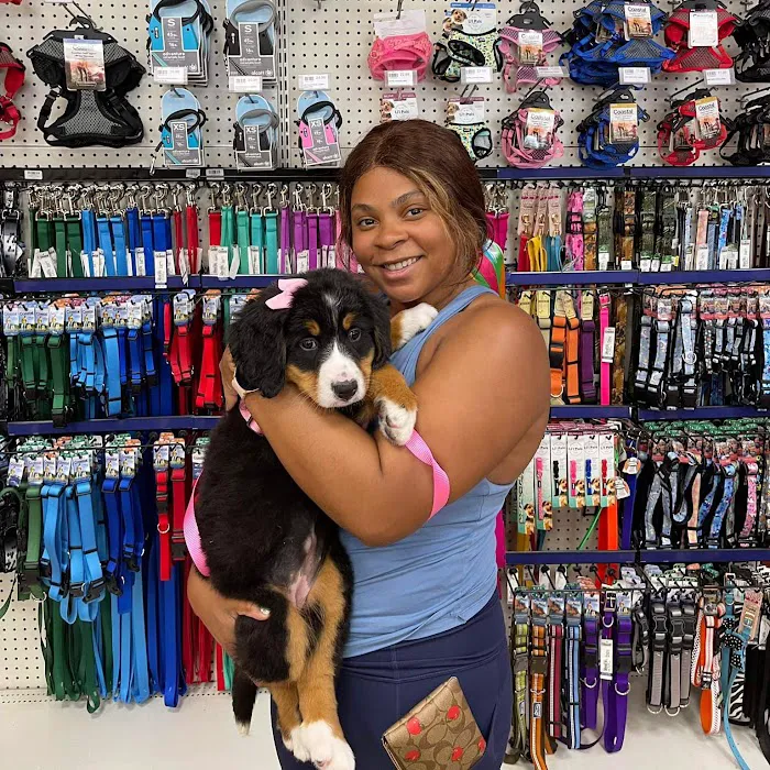 Petland Tulsa Picture 6