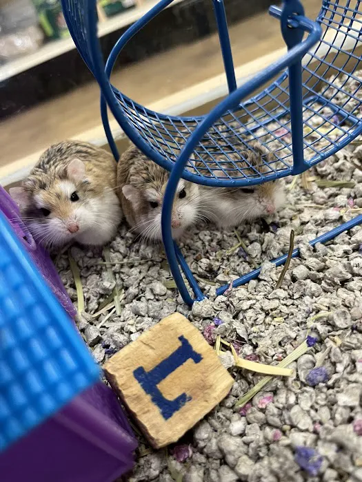 Petland Tulsa Picture 5