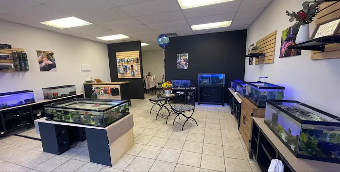 Axolotls Tulsa Picture 5