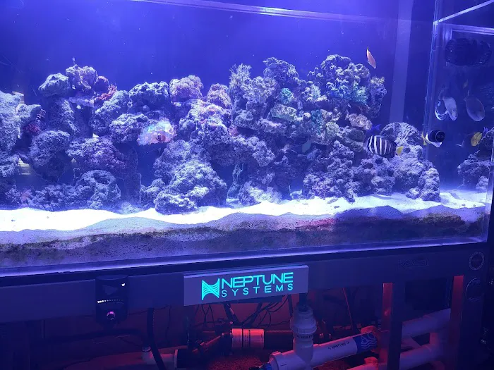 Aquarium Customs, INC. Picture 2