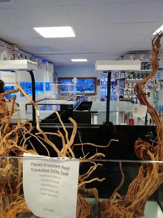 Aquarium Customs, INC. Picture 5
