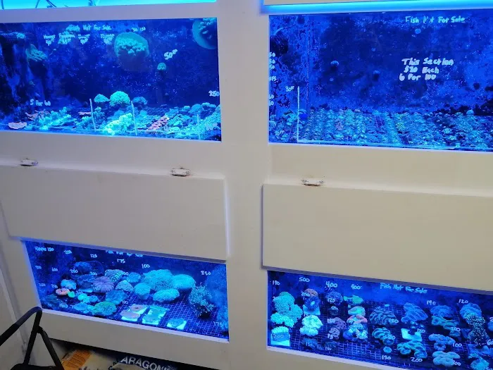 Aquarium Customs, INC. Picture 7