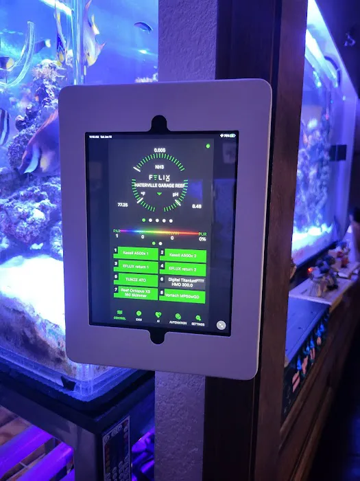 Aquarium Customs, INC. Picture 9
