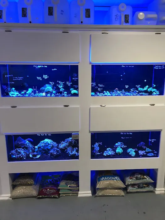 Aquarium Customs, INC. Picture 10