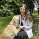 Andover Animal Hospital