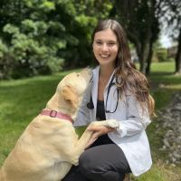 Andover Animal Hospital ico