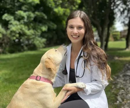Andover Animal Hospital