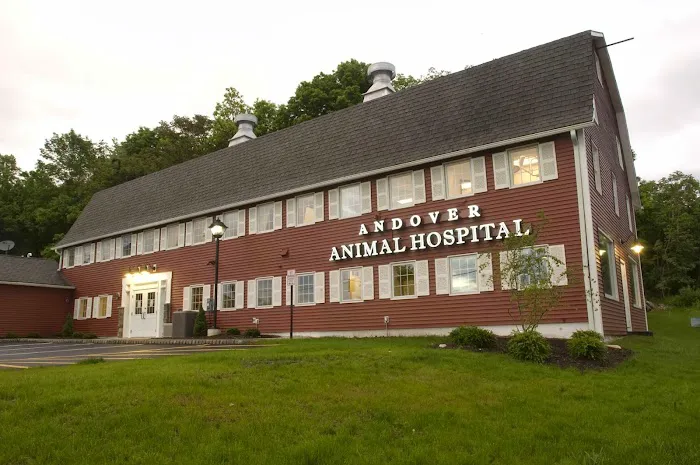 Andover Animal Hospital Picture 2