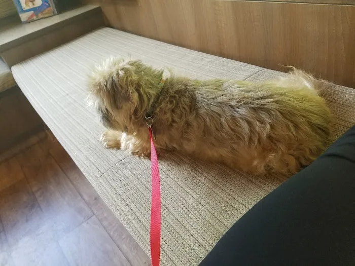 Andover Animal Hospital Picture 6