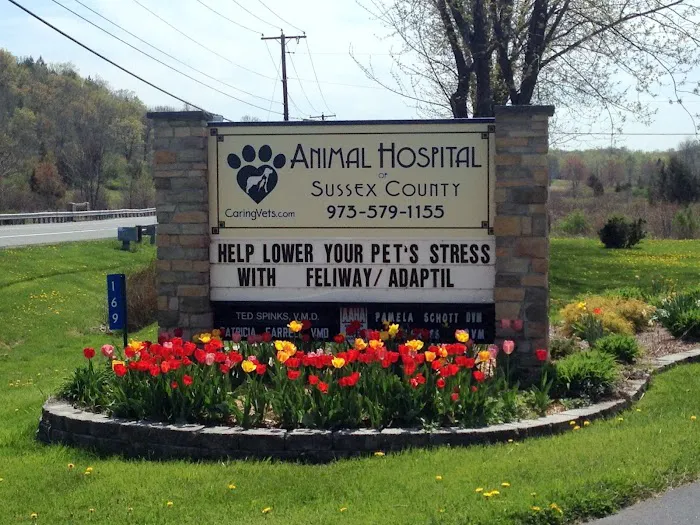 Animal Hospital of Sussex County Picture 3