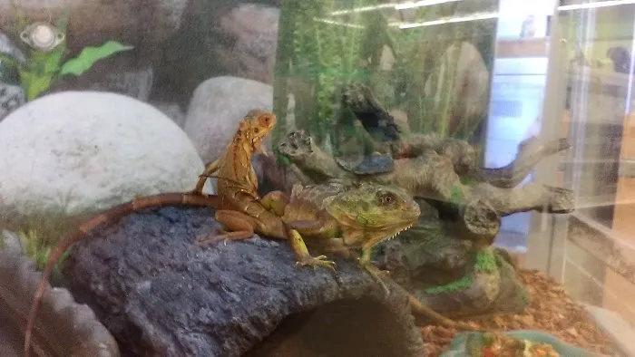 Petco Picture 4