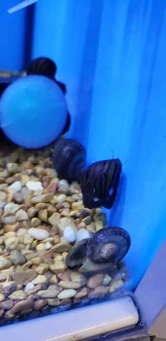Petco Picture 6