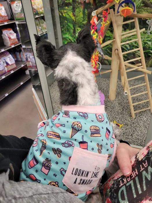 Petco Picture 8