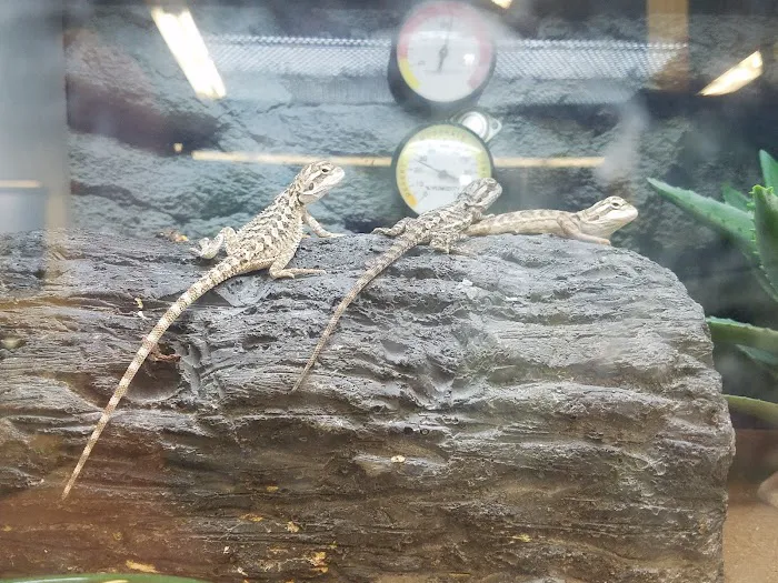 Petco Picture 7