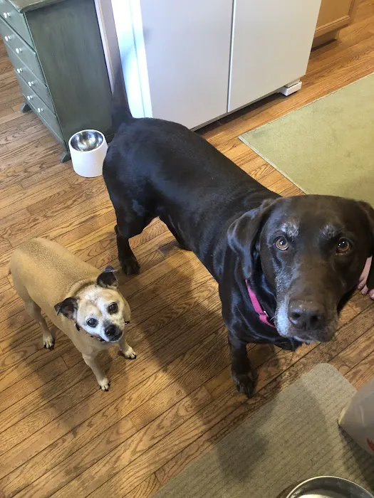 Animal General Veterinary Hospital Picture 5