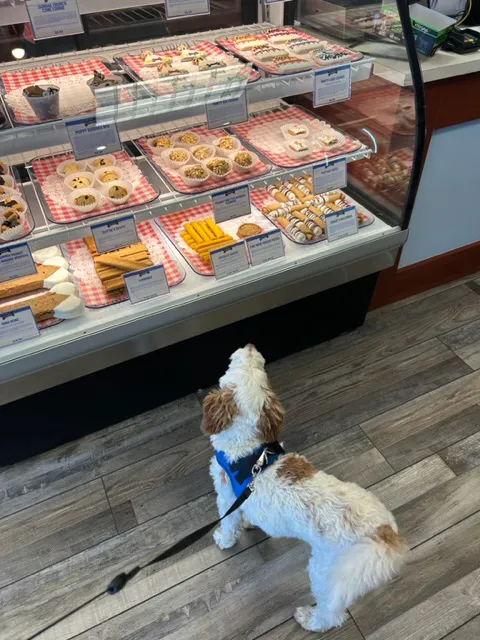 Three Dog Bakery Picture 3