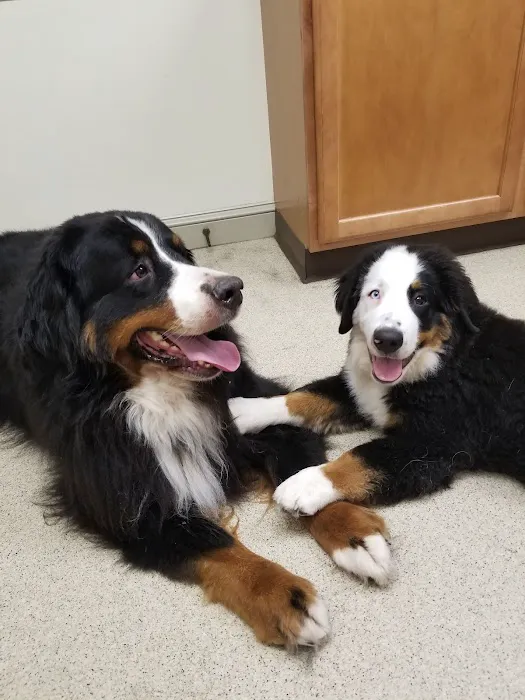 Branchville Country Vet Clinic Picture 1