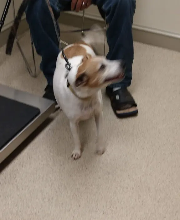 Branchville Country Vet Clinic Picture 10