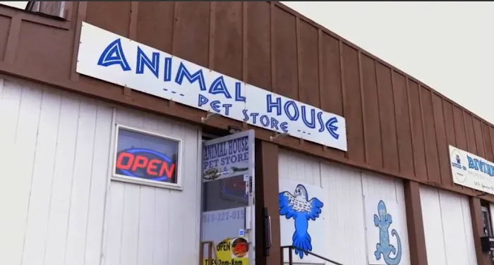 Animal House Picture 3