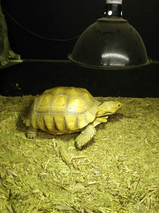 Animal House Picture 4