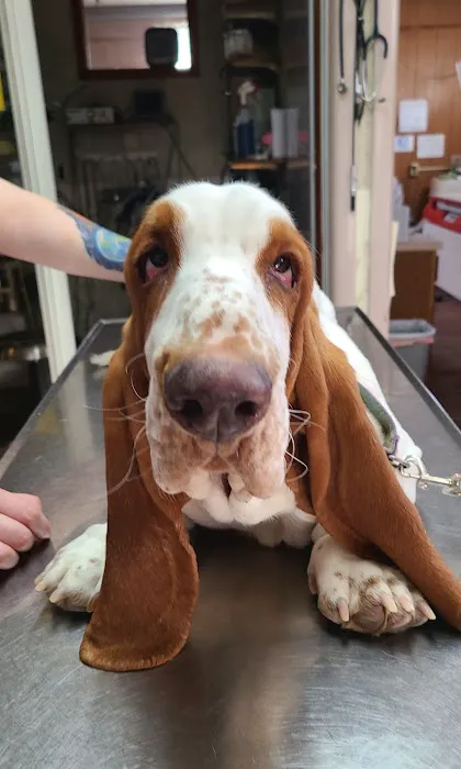 West Hazleton Veterinary Hospital Picture 3