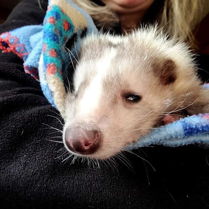 West Hazleton Veterinary Hospital Picture 8