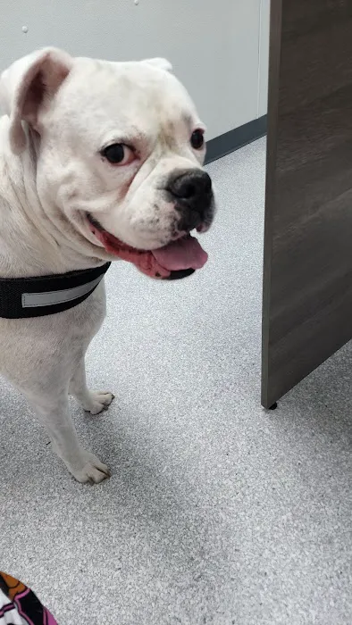 River Run Veterinary Hospital Picture 1