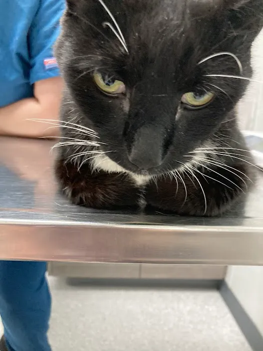 River Run Veterinary Hospital Picture 10