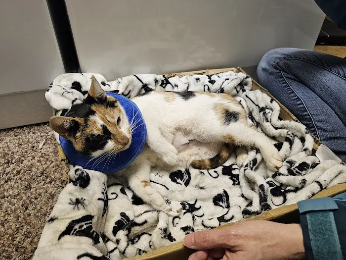 Hazleton Veterinary Hospital Picture 4