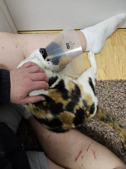 Hazleton Veterinary Hospital Picture 7
