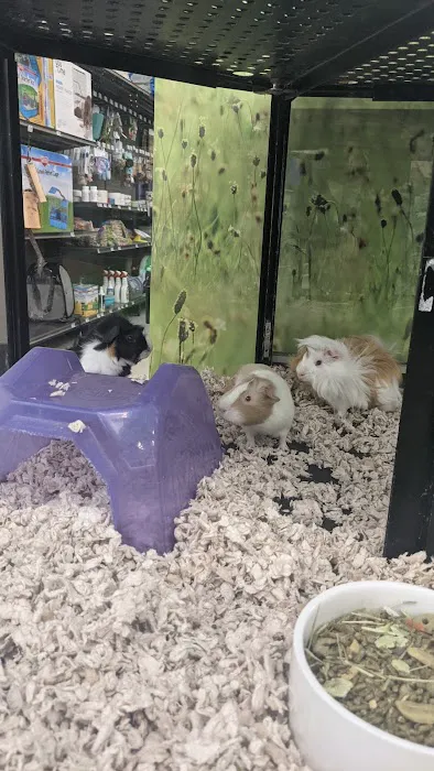 Petco Picture 2