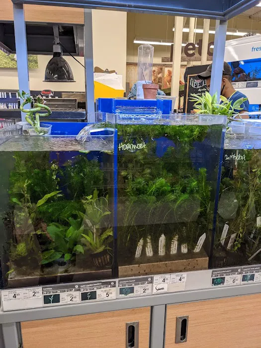 Petco Picture 6