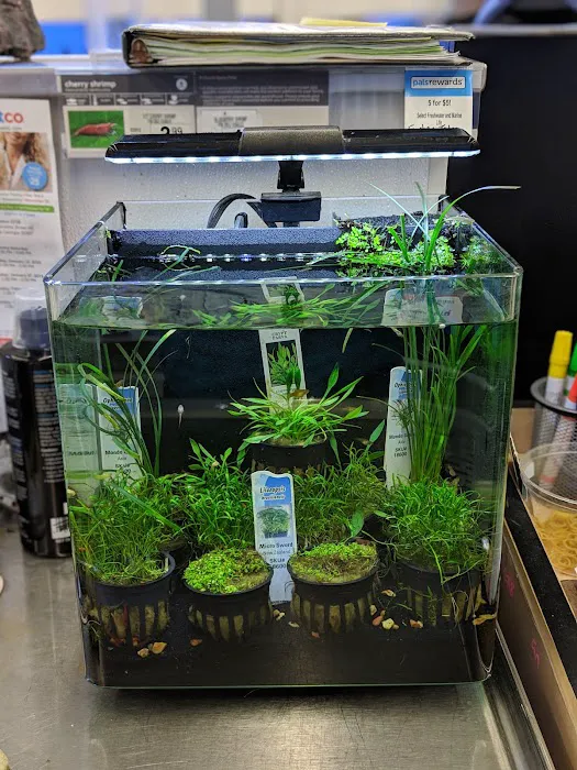 Petco Picture 7