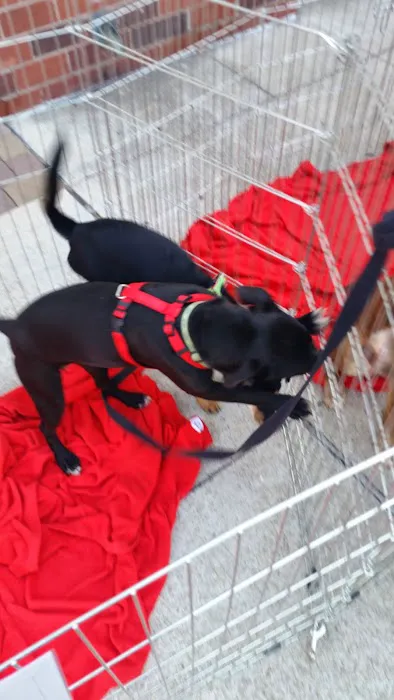 Petco Picture 8