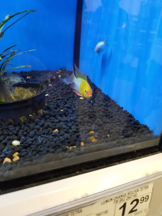 Petco Picture 9