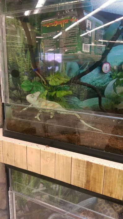 Petco Picture 10