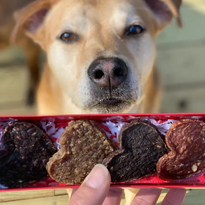 Four-Legged Foodie Picture 6