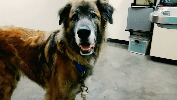 Ringtown Valley Veterinary Hospital Picture 9