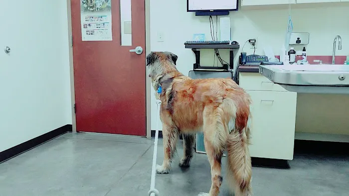 Ringtown Valley Veterinary Hospital Picture 10