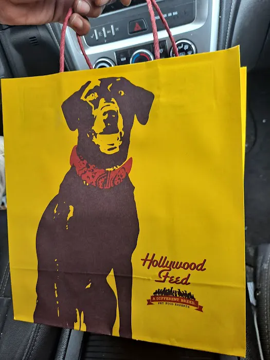 Hollywood Feed Picture 8