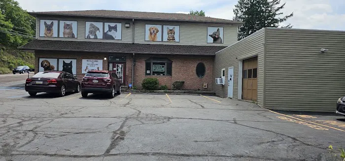 The Pet Care Clinic Picture 2