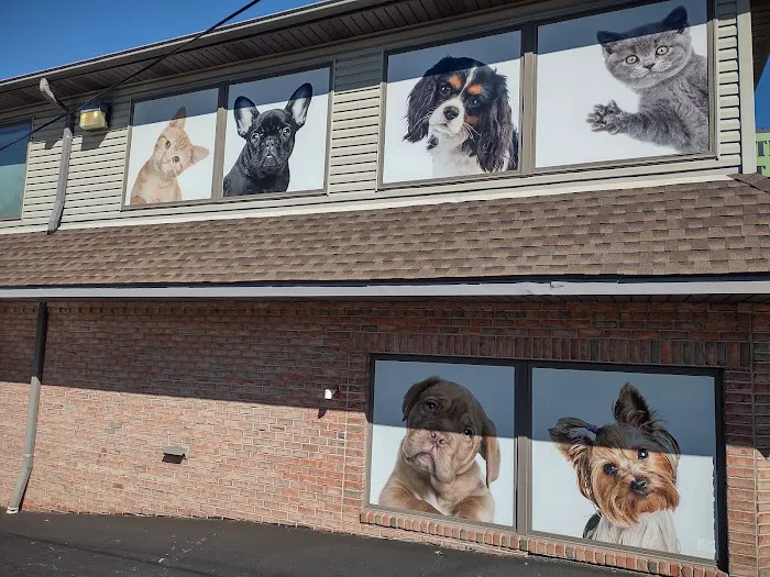 The Pet Care Clinic Picture 4