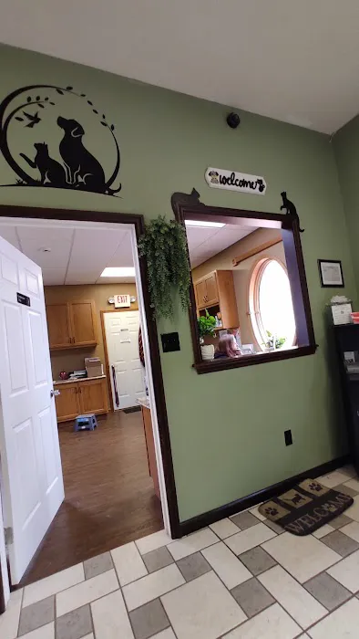 The Pet Care Clinic Picture 6