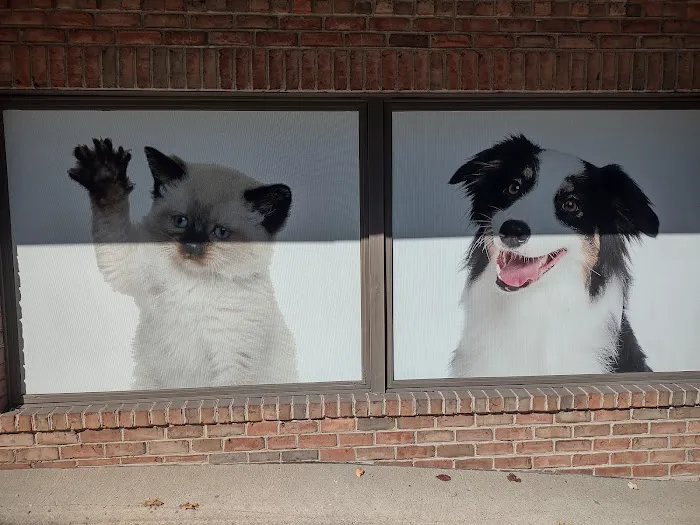 The Pet Care Clinic Picture 8
