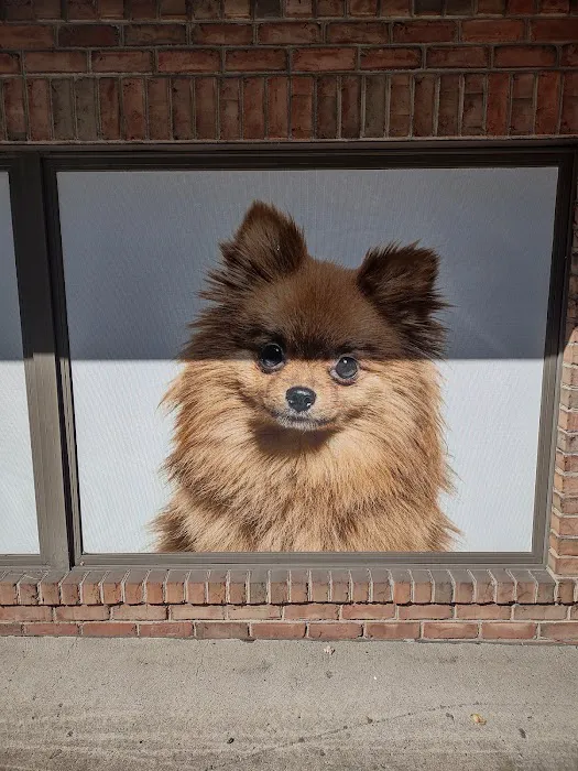 The Pet Care Clinic Picture 10