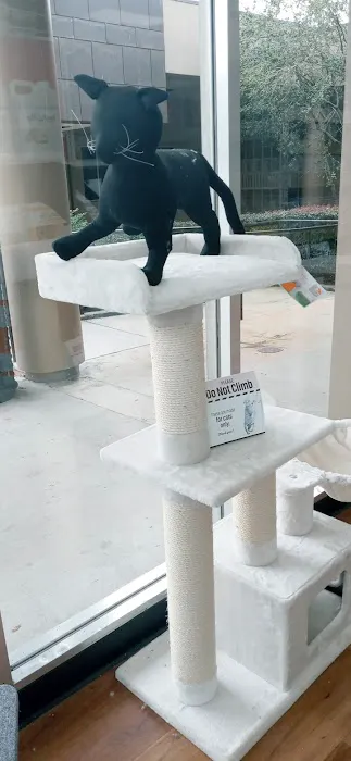 Pet Supermarket Picture 1