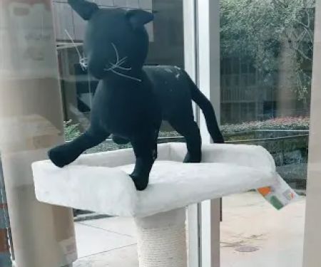 Pet Supermarket