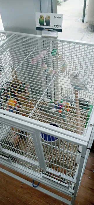 Pet Supermarket Picture 2